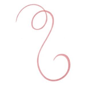 Line N'Stain Lip Liner 02 Must Have Brown 2.5ml