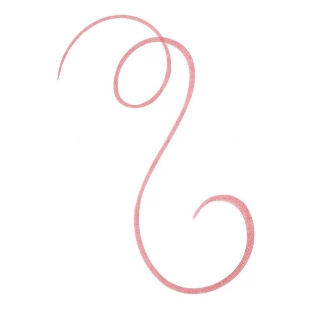 Line N'Stain Lip Liner 02 Must Have Brown 2.5ml